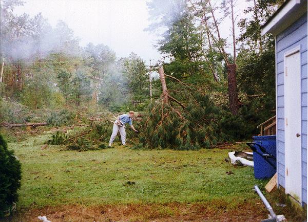 Person cutting limbs on fallen trees after hurricane.